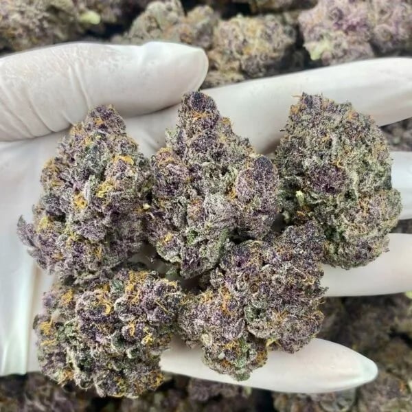 Cannabear