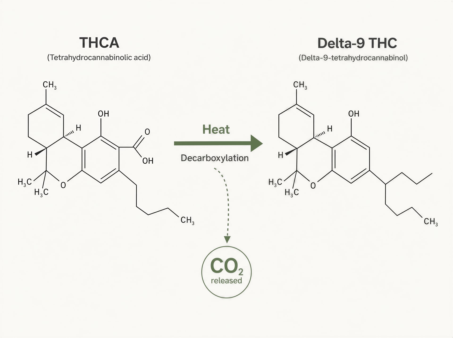 ## Definizioni Regolatorie di Canapa vs Marijuana e Soglie di THC: Un Confronto Internazionale