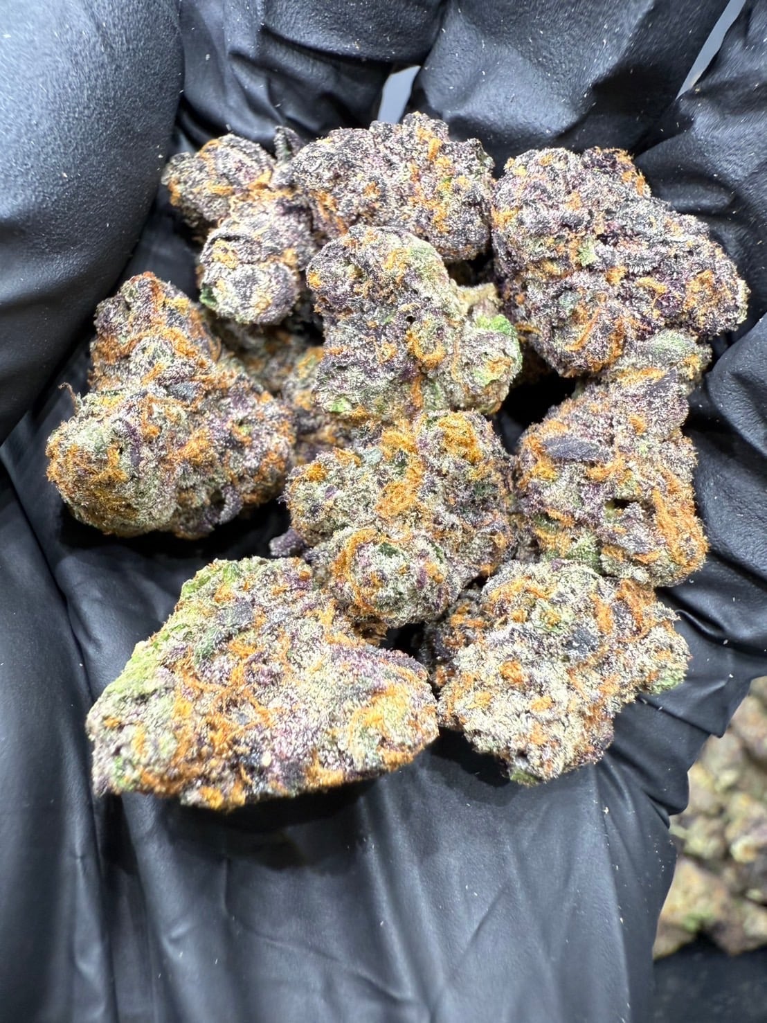 Broccoli Ganja BondStreet