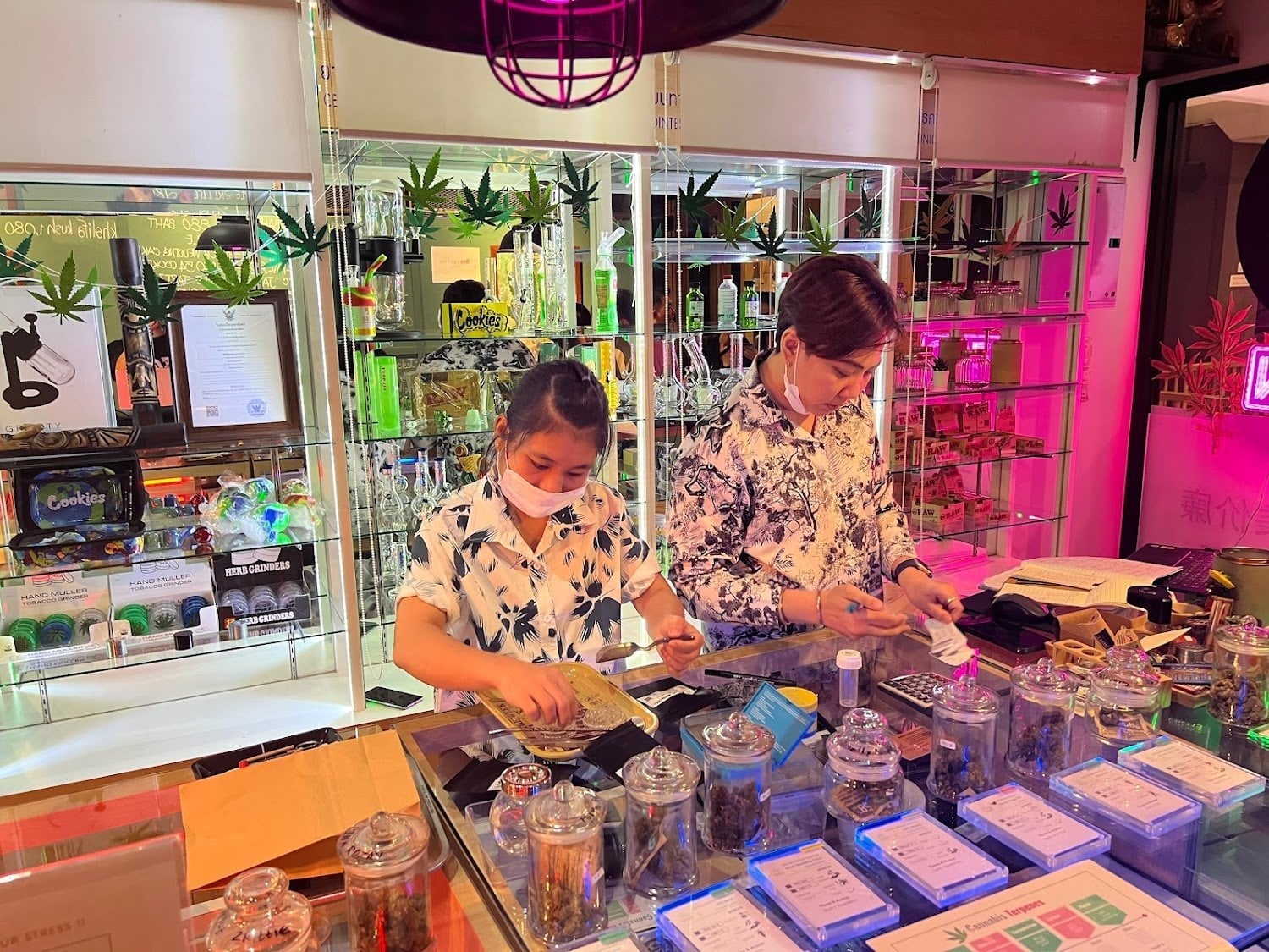 Bangkok Cannabis Souvenir