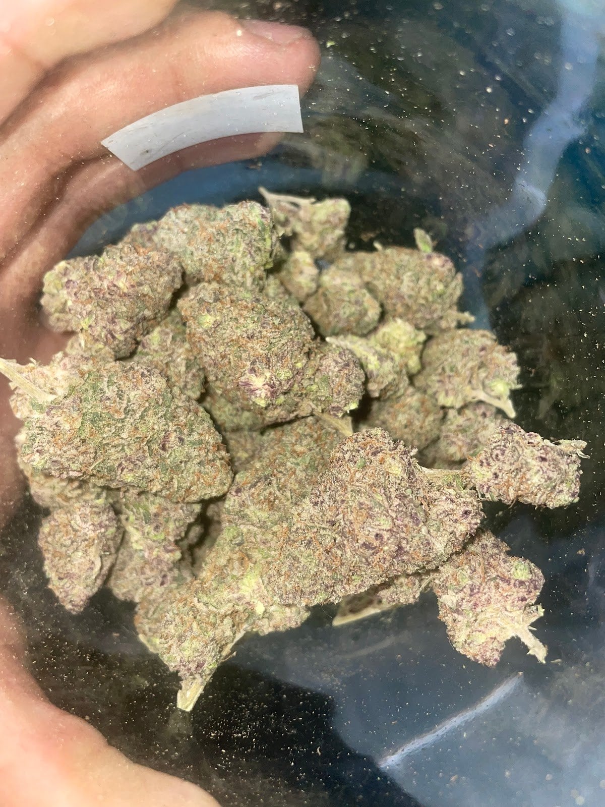 Ape's Bud