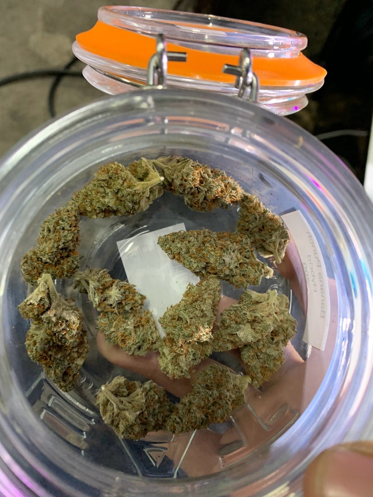 Warp Cannabis Marijuana