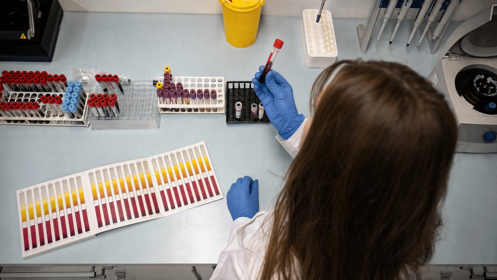 Forensic toxicology lab blood tubes beside a serum THC reference chart