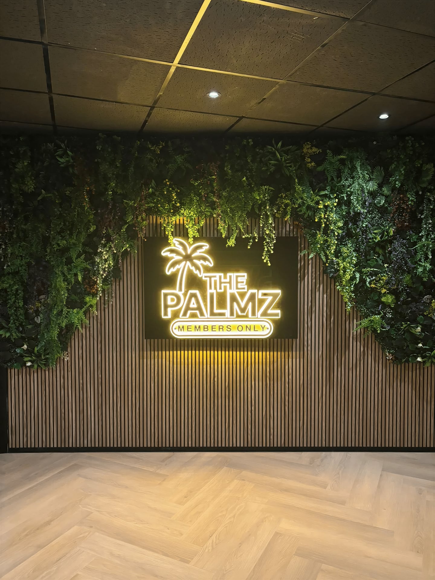 The Palmz