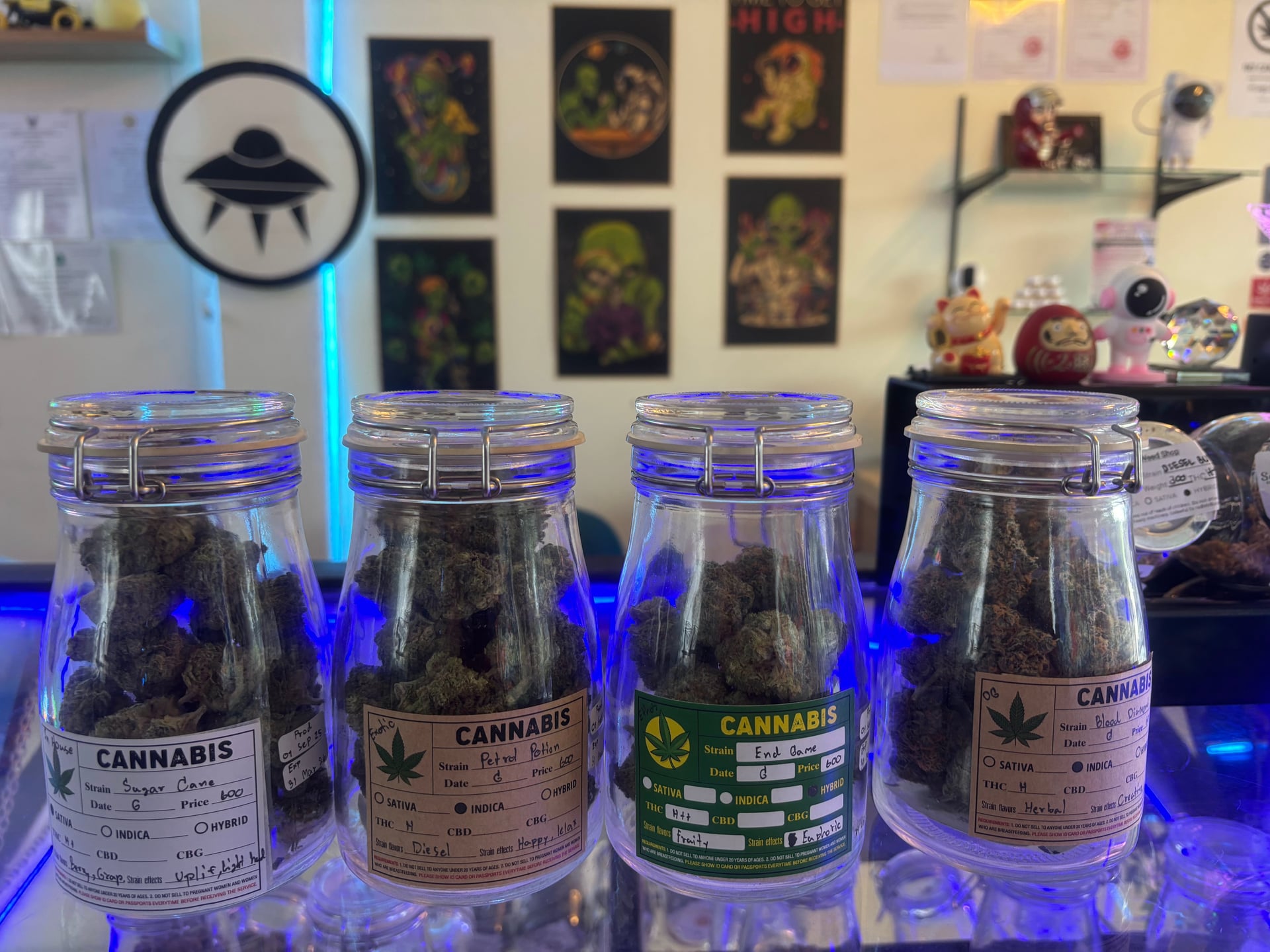 Sea Weed Canabis