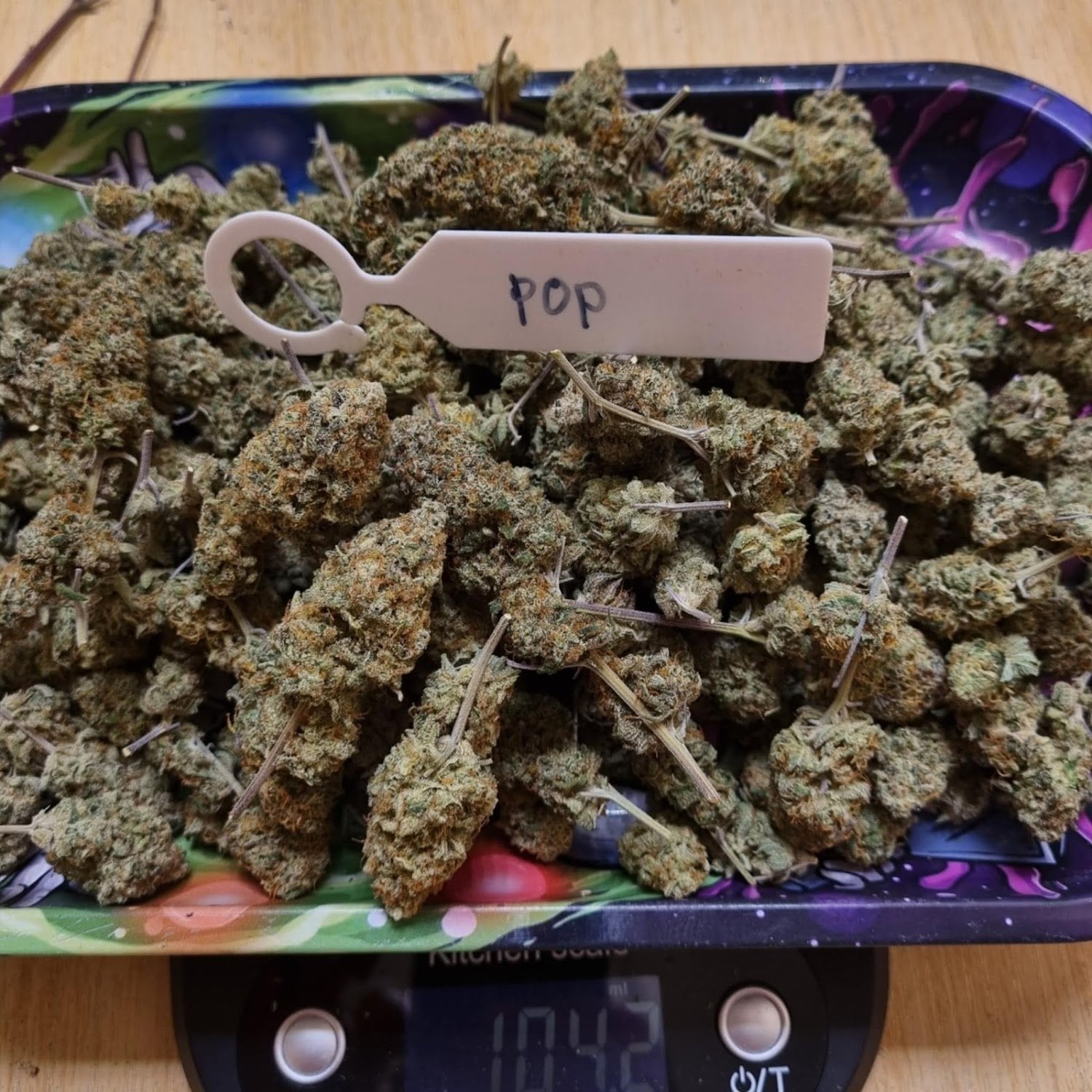 Nighthowit420