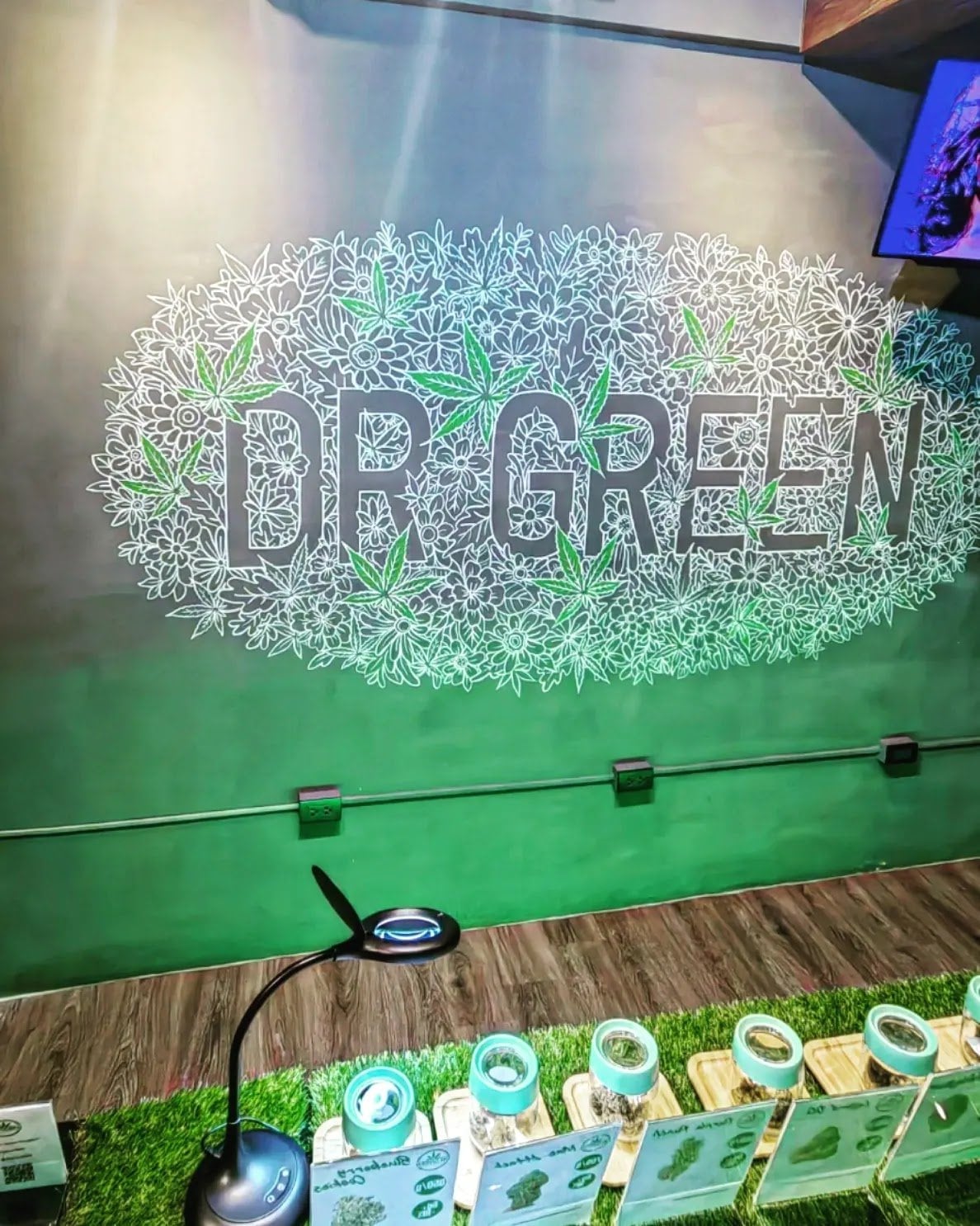 Dr Green