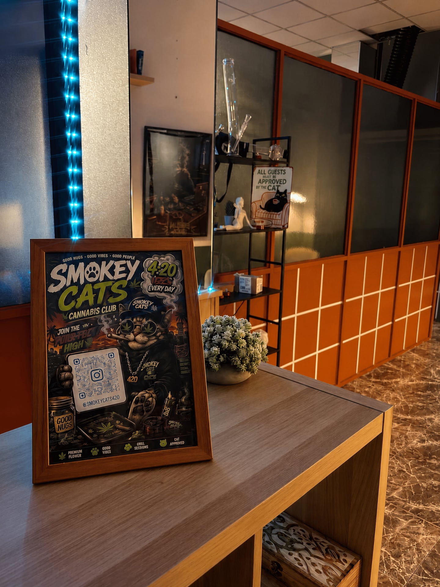 Smokey Cats