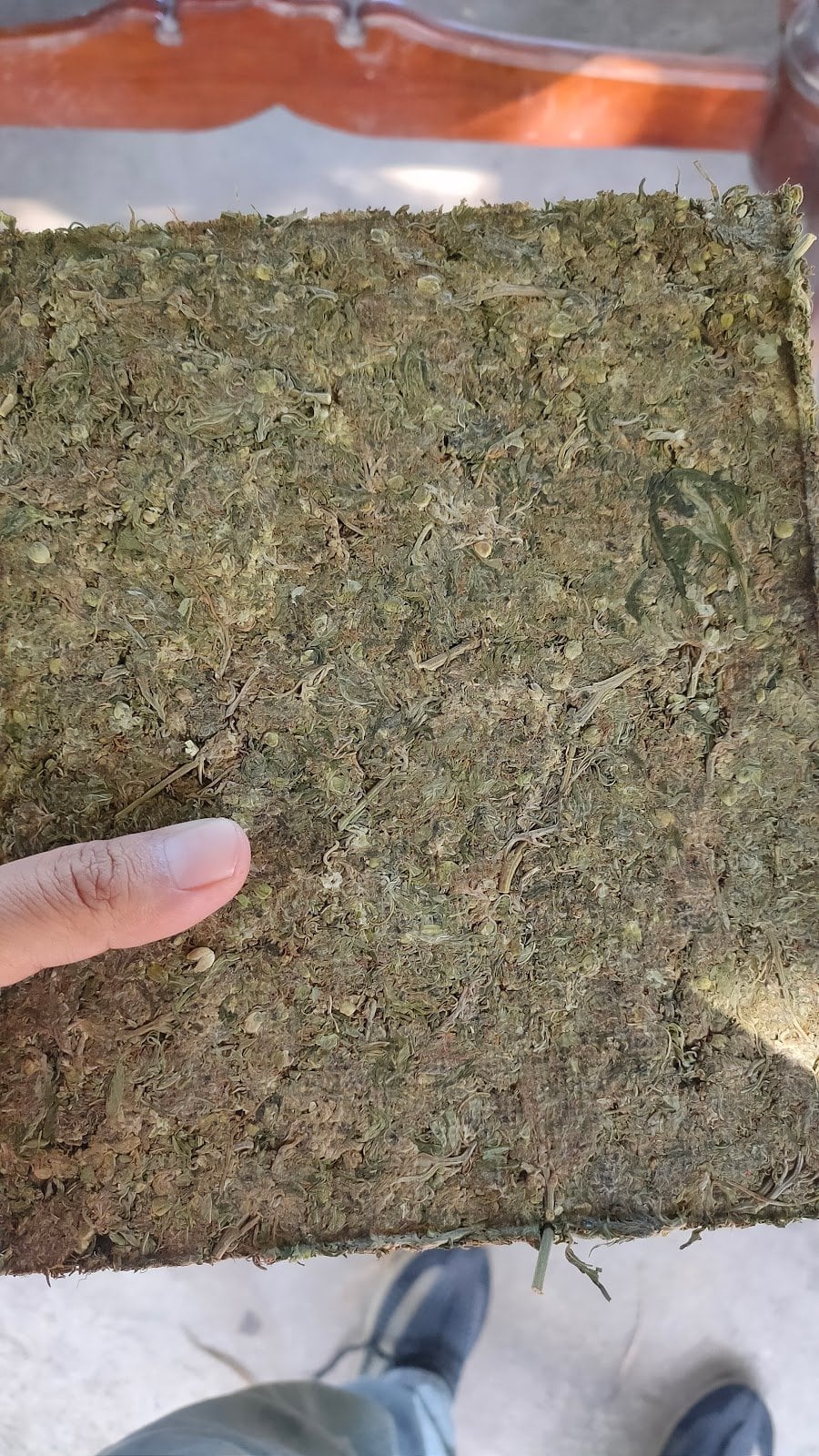 L.A. Shrooms
