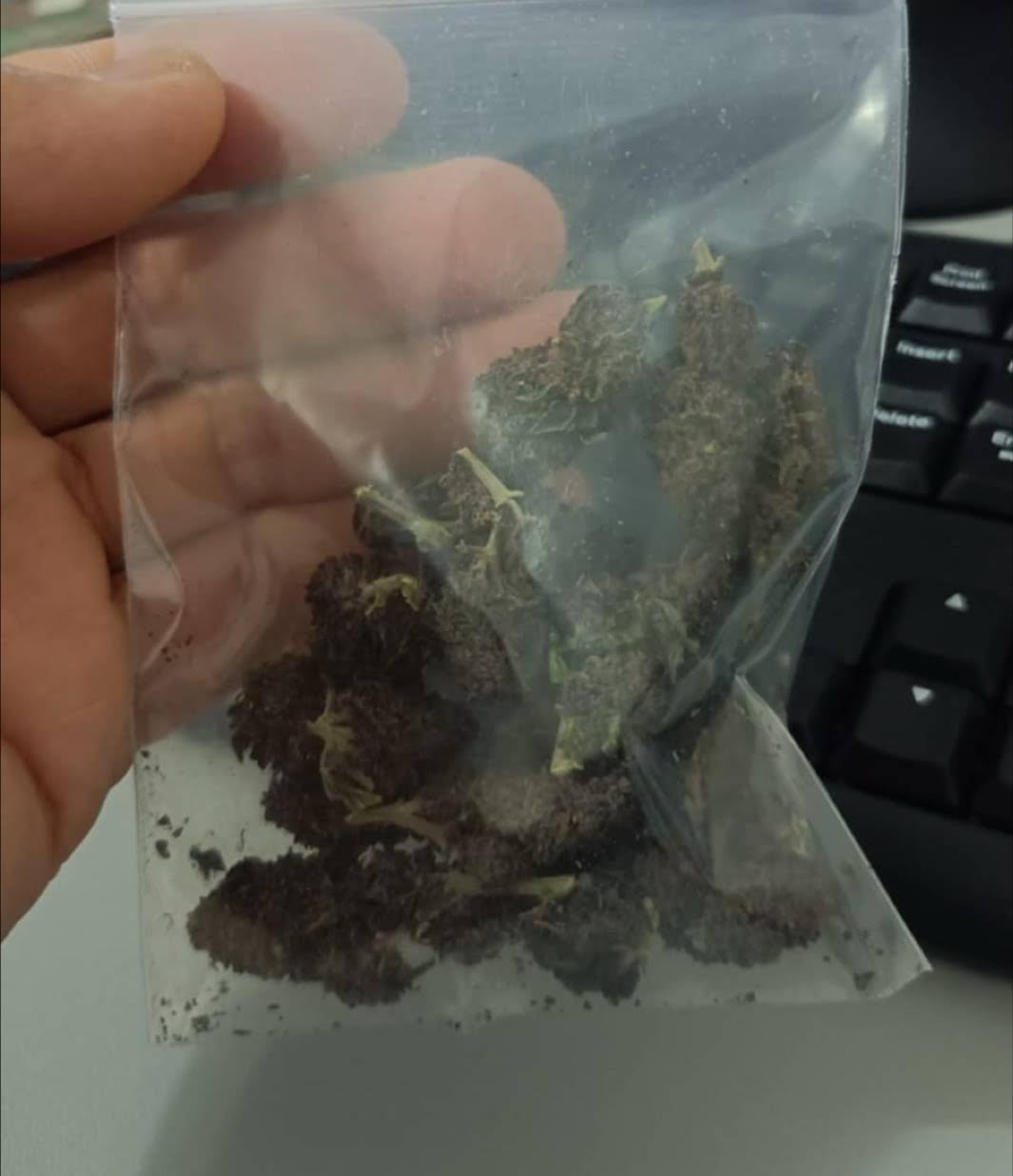 Santa420