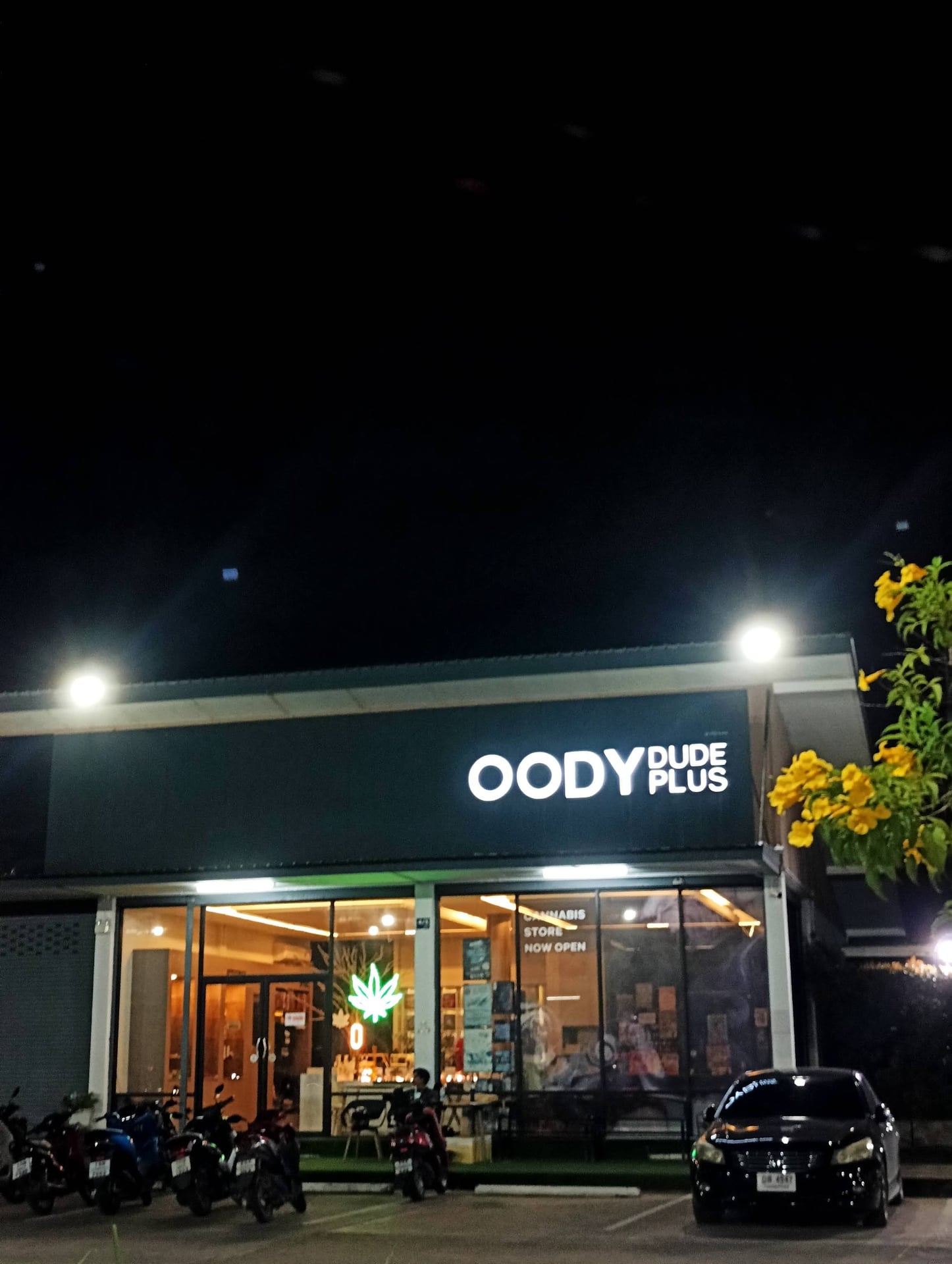 Oodydudeplus