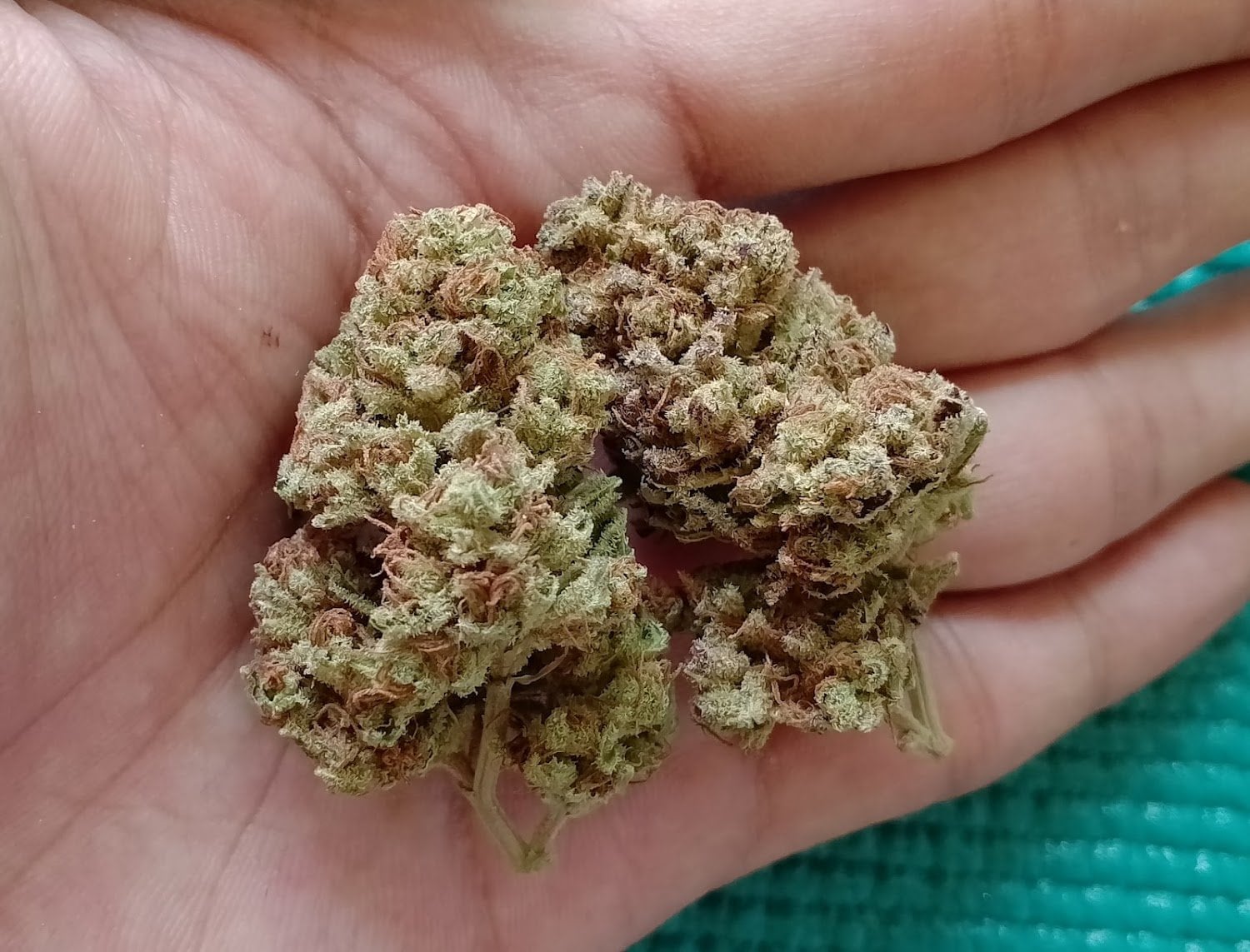 Weed By Hand