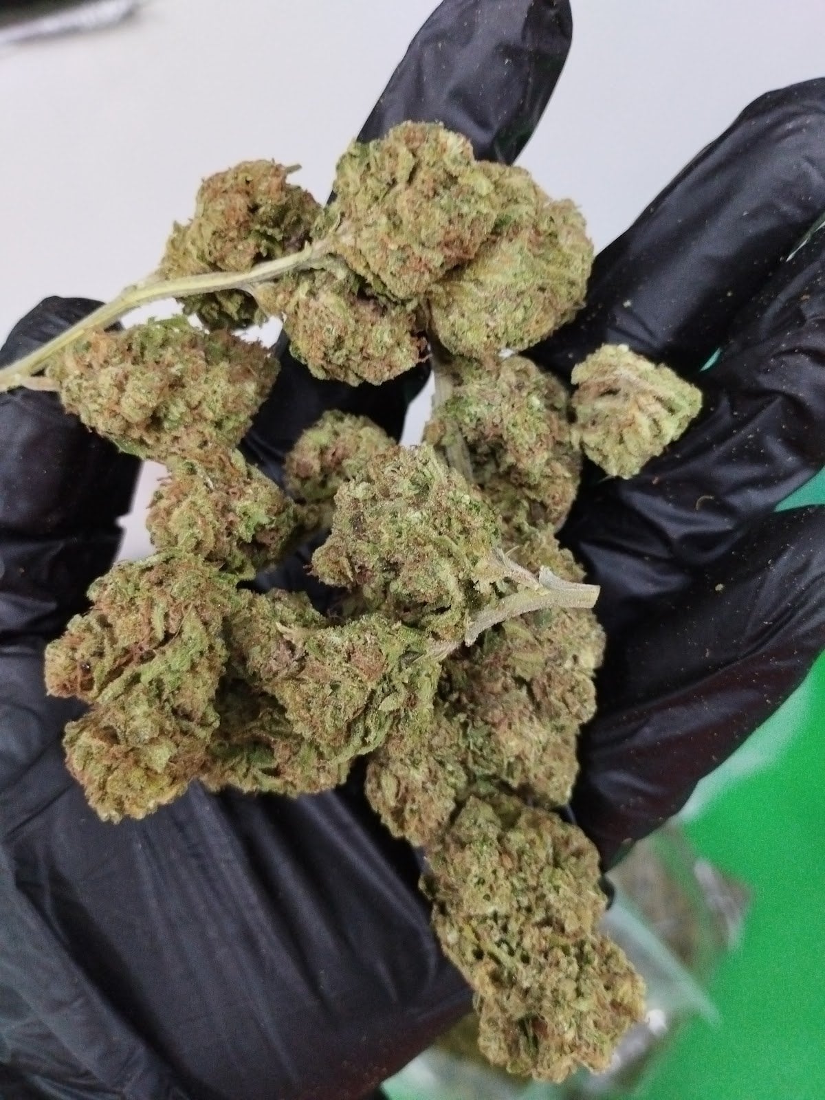 Organic Weed Farm