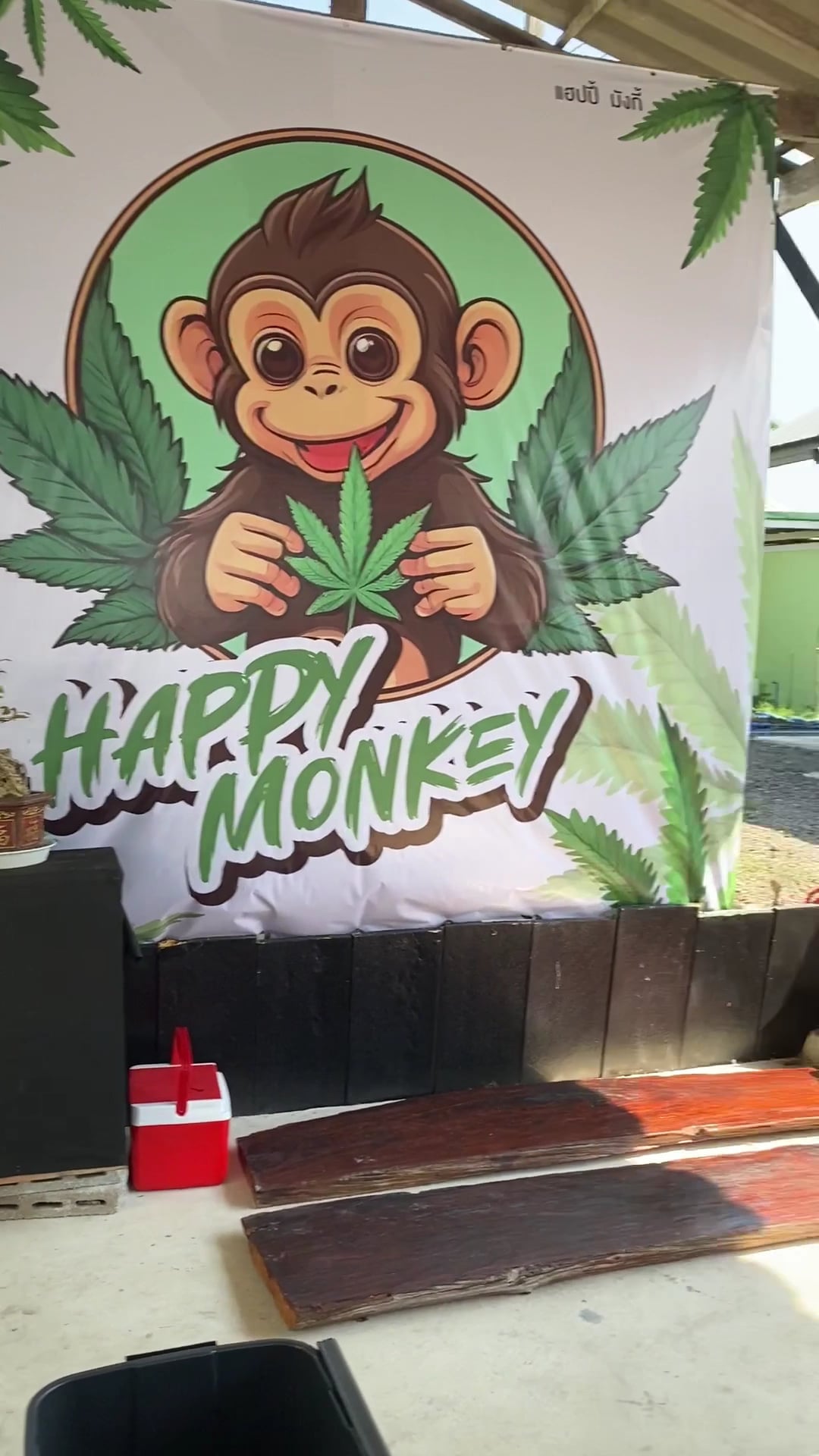 HAPPY MONKEY