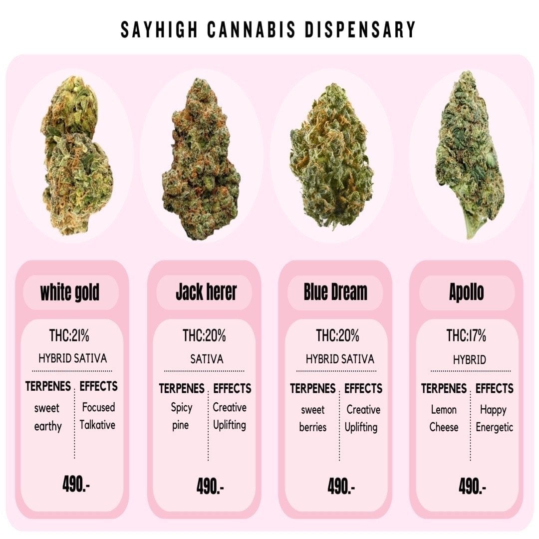Sayhigh