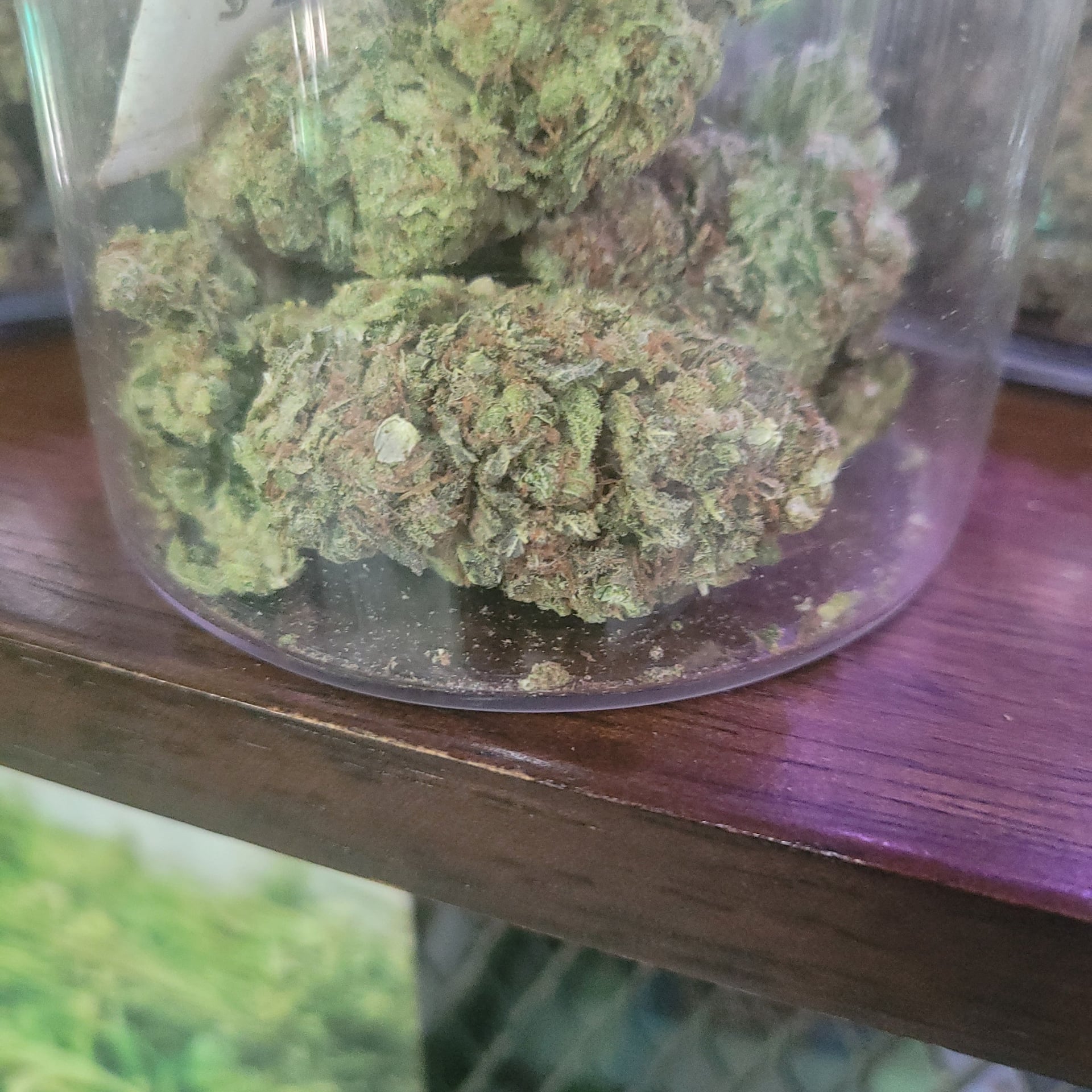 Greenbird House Cannabis By Ble