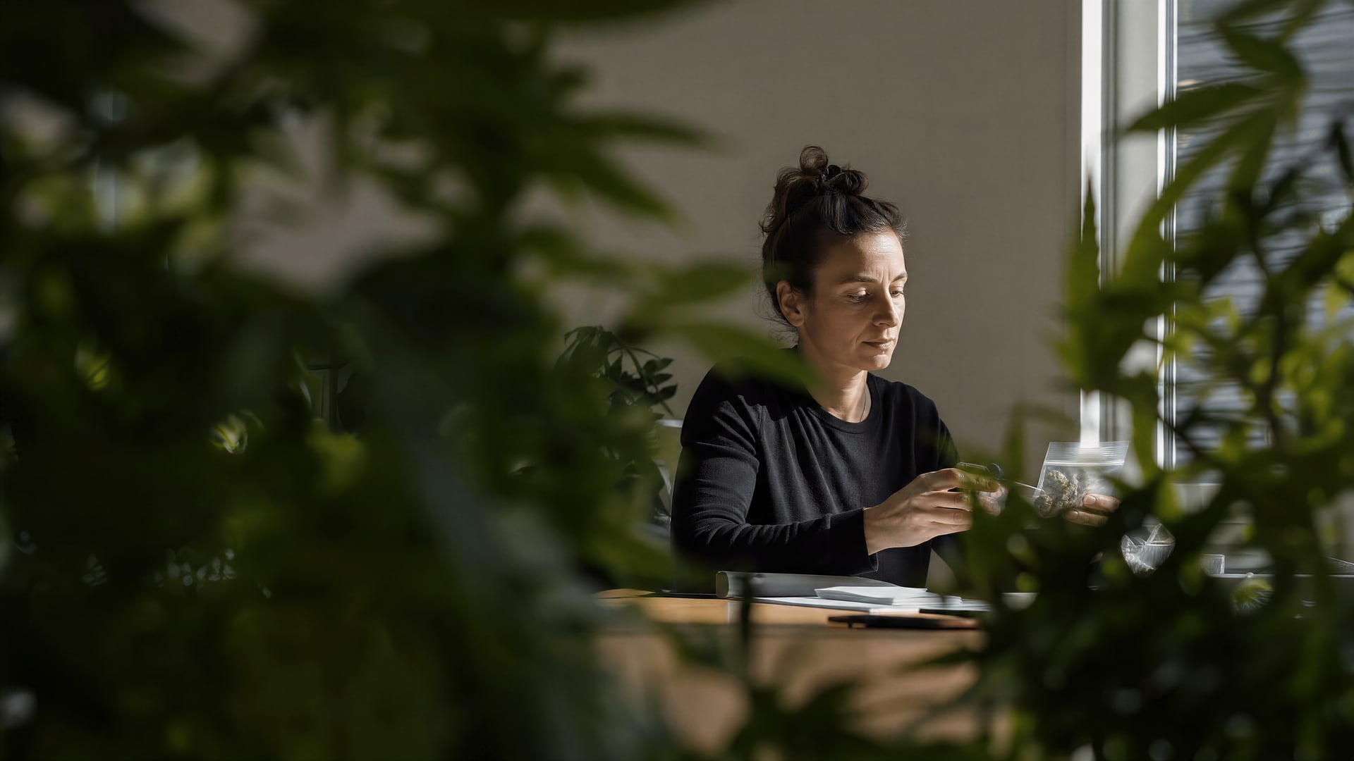 Swiss St. Gallen pilot office displaying registration documents for a regulated cannabis study