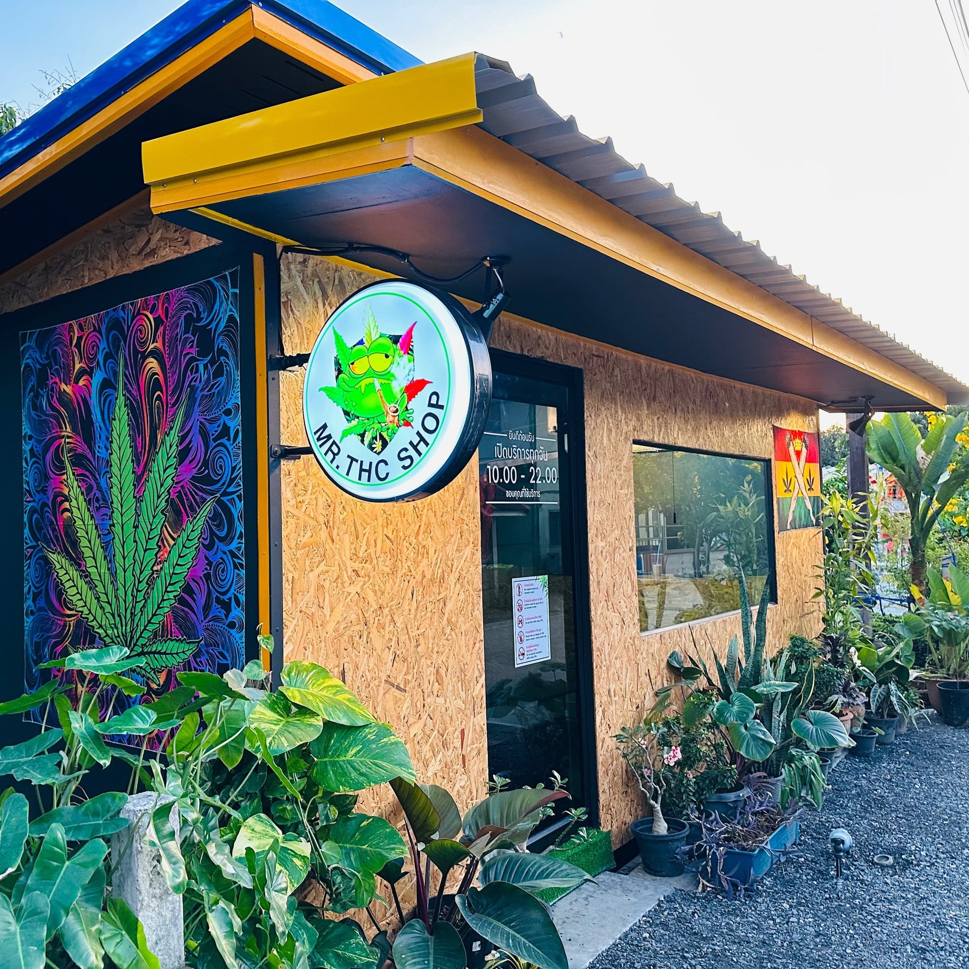 Cafe Cannabis & RangsitCannabis Mr.THC