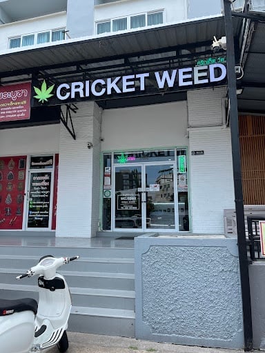 Cricket Sriracha - Cannabis