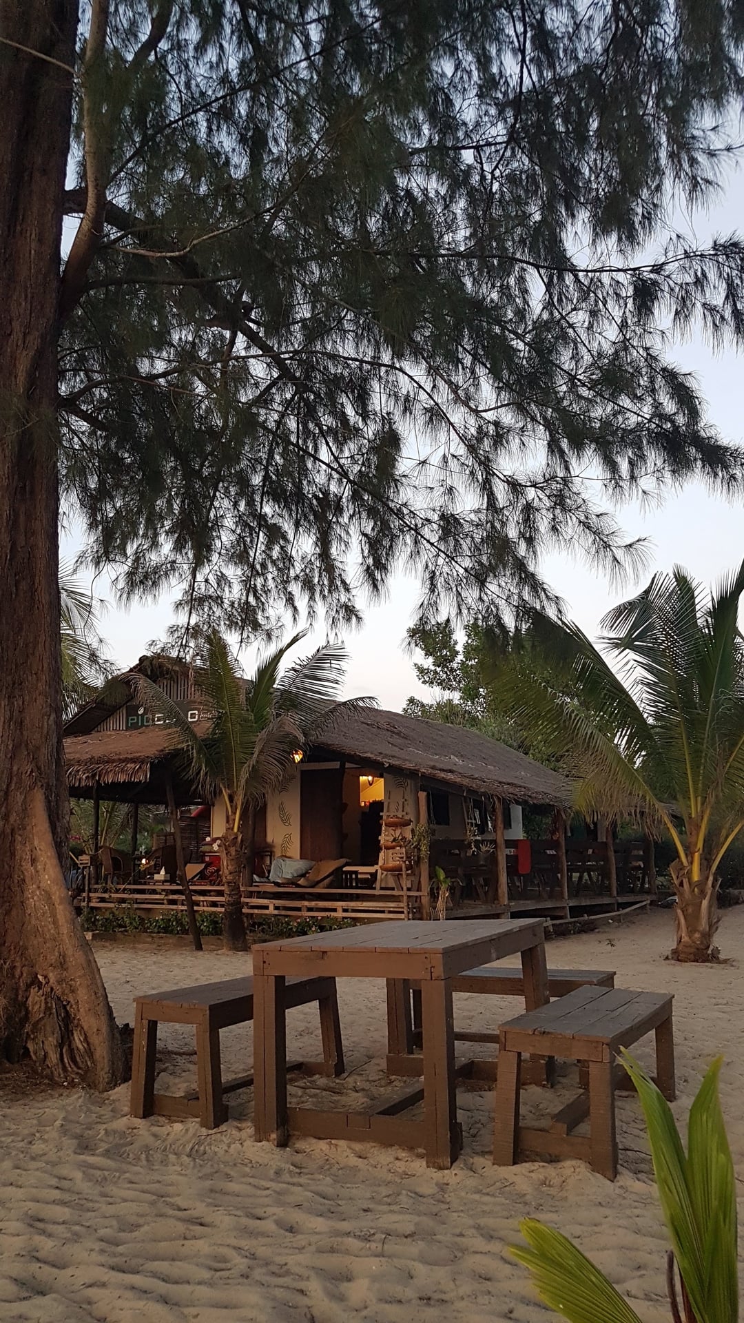 Tropicool - Cafe