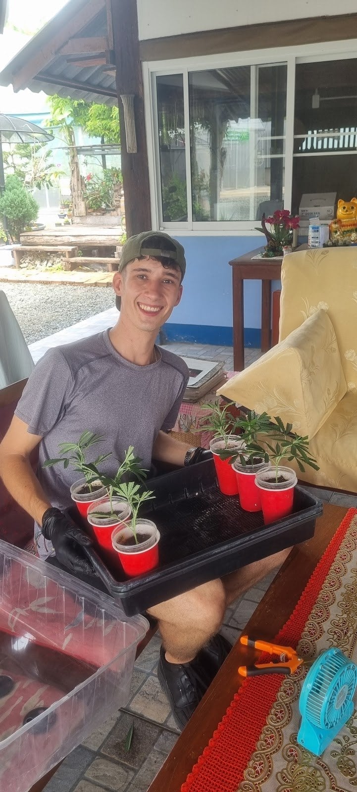 NGK Organic Farm And Cannabis Farm Tour