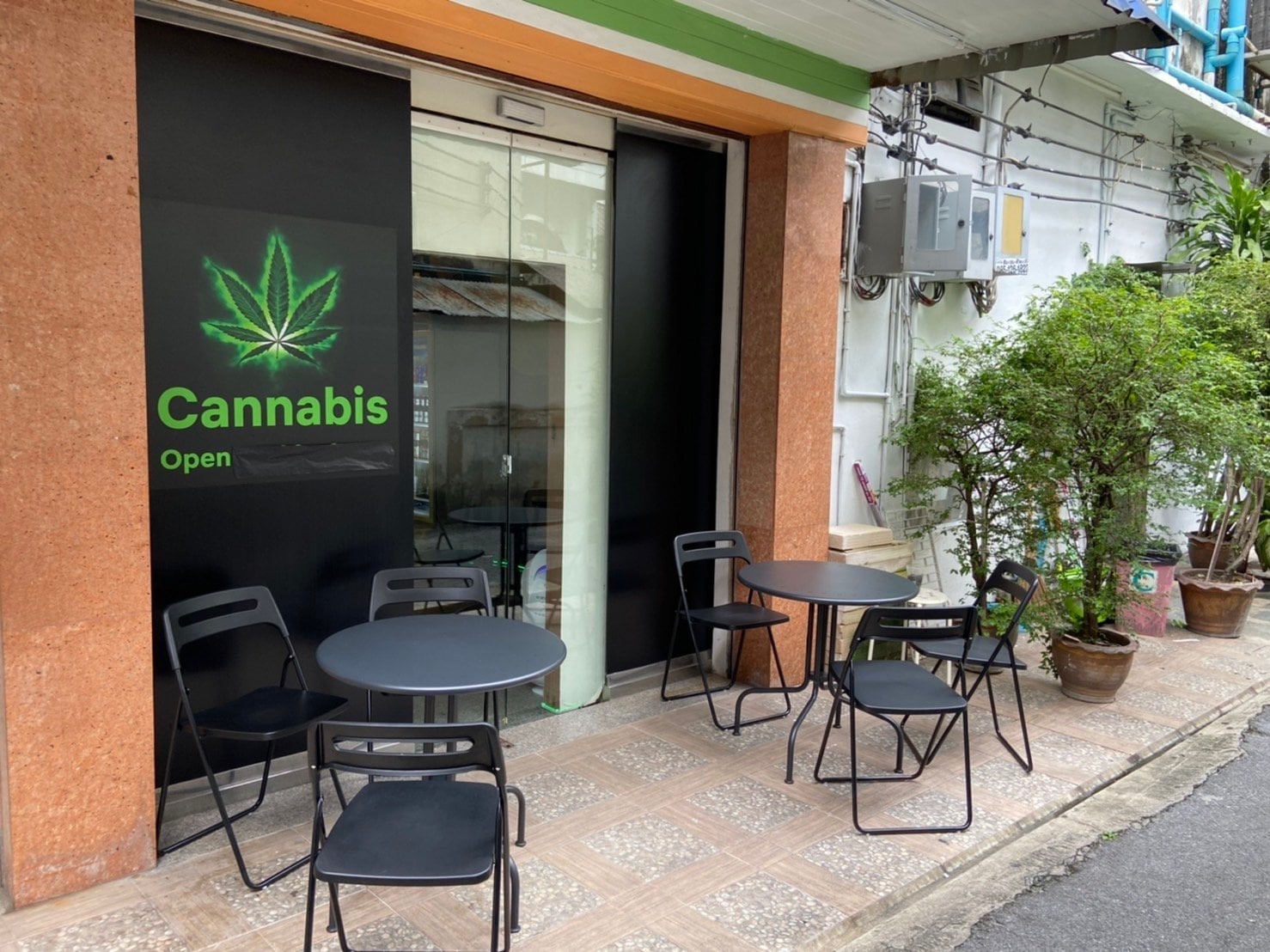 Thaniya Marijuana