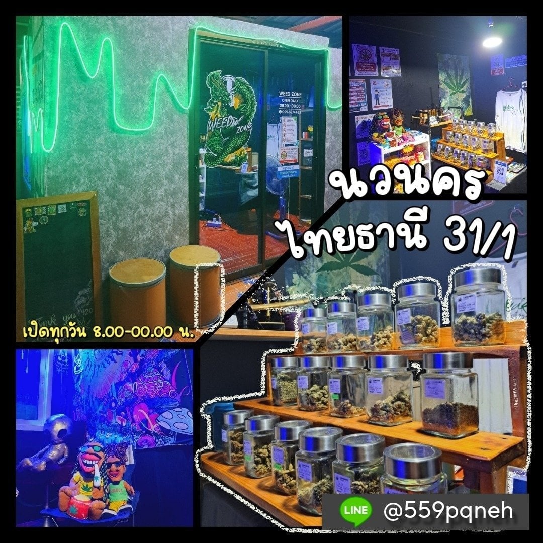 Weed Zone Navanakorn