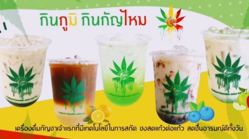Kinkumi Cannabis