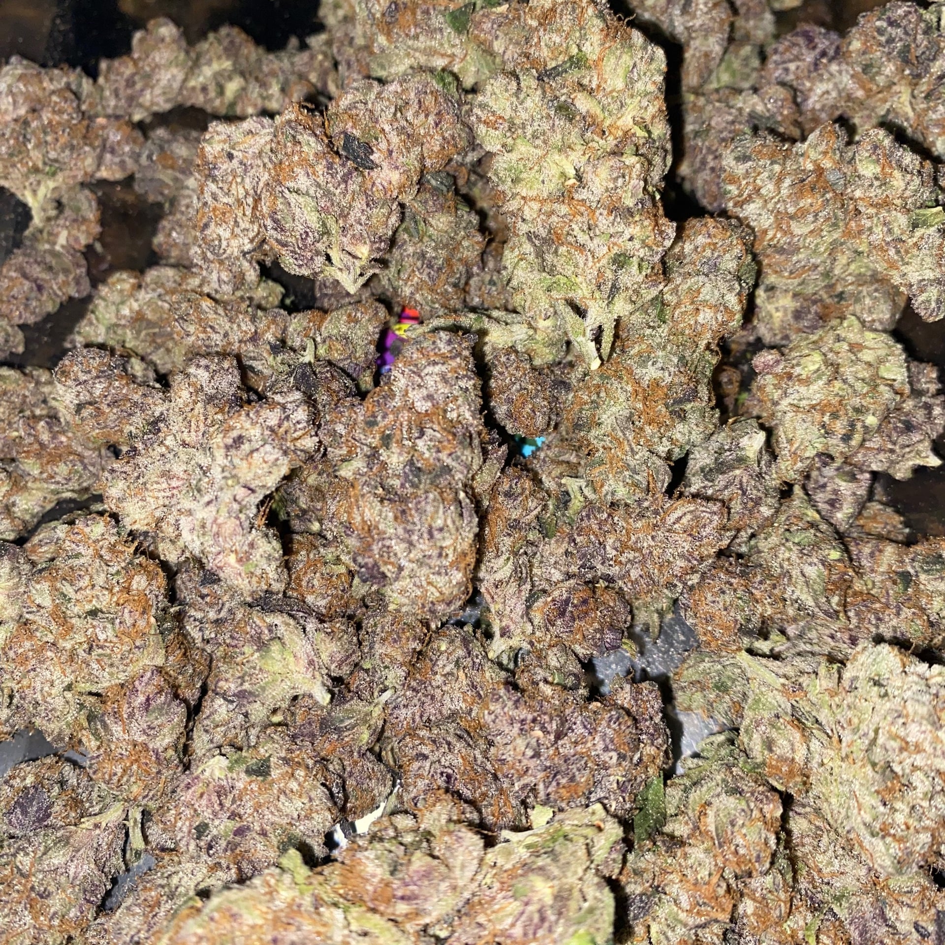 BoatSativa420Cannabis