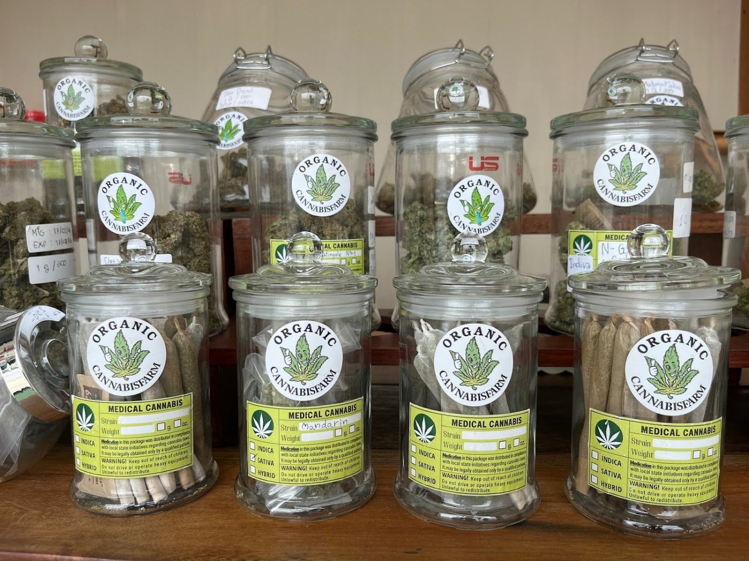 Organic Cannabis Farm