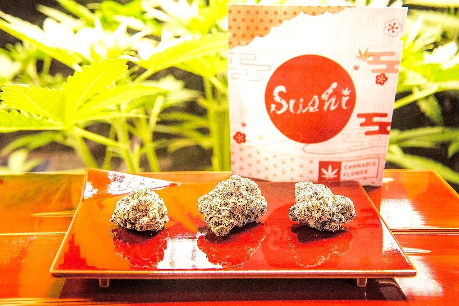 Cannabis Shop Sushi Seed.Weed.Vape.edible.delivery