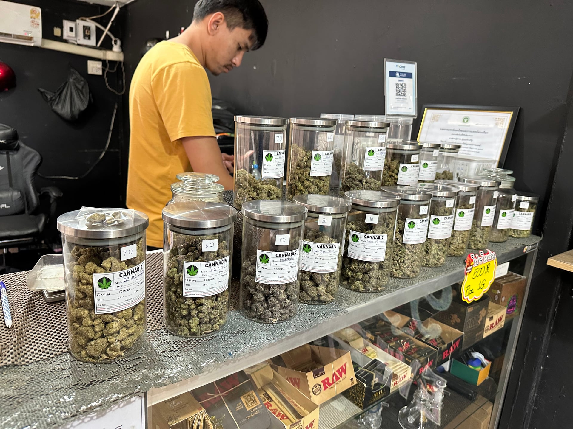 Plaza Cannabis Station