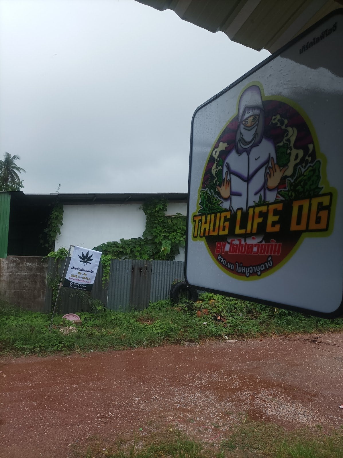 Thuglife Og