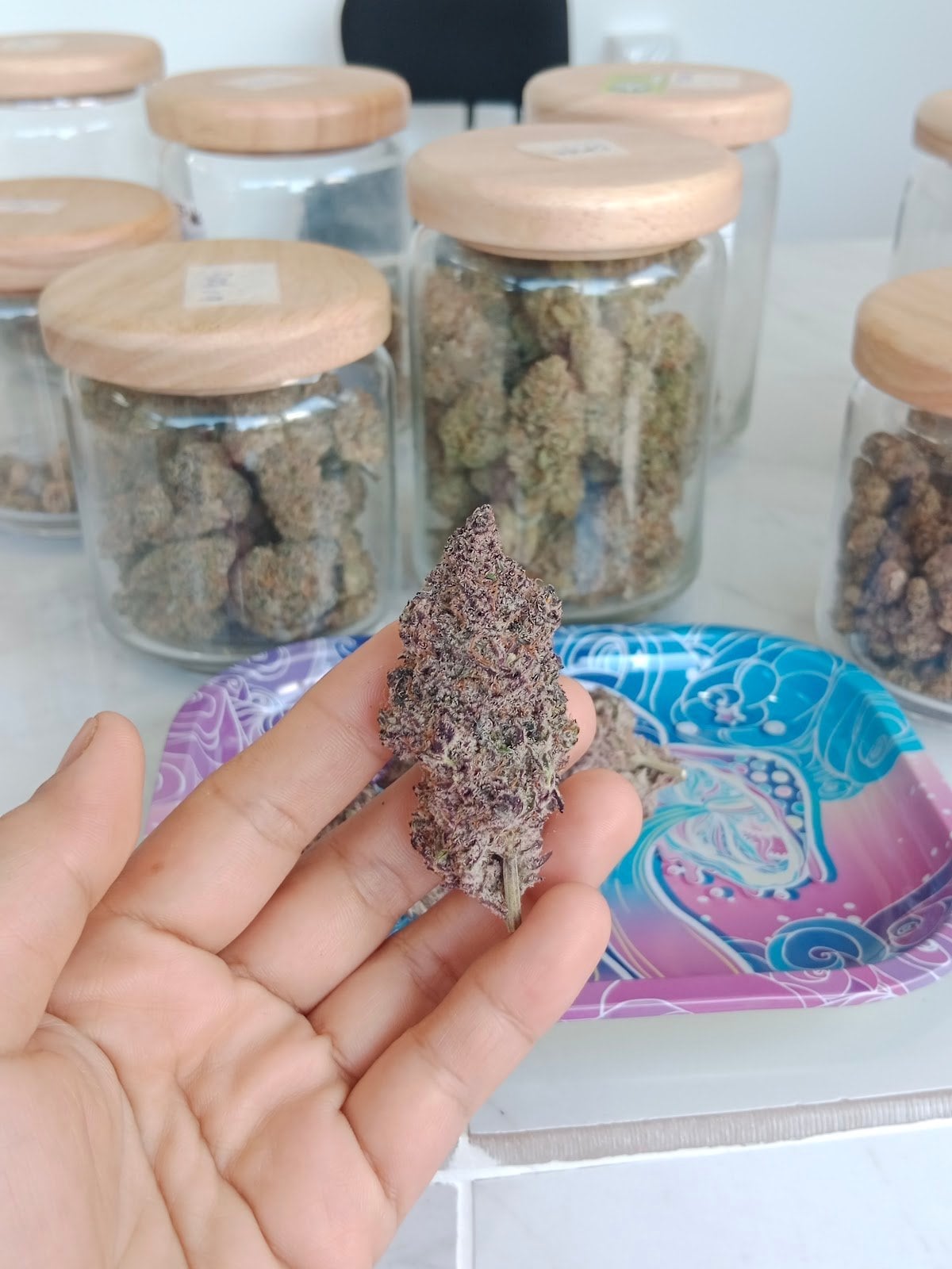 JJ Cannabis