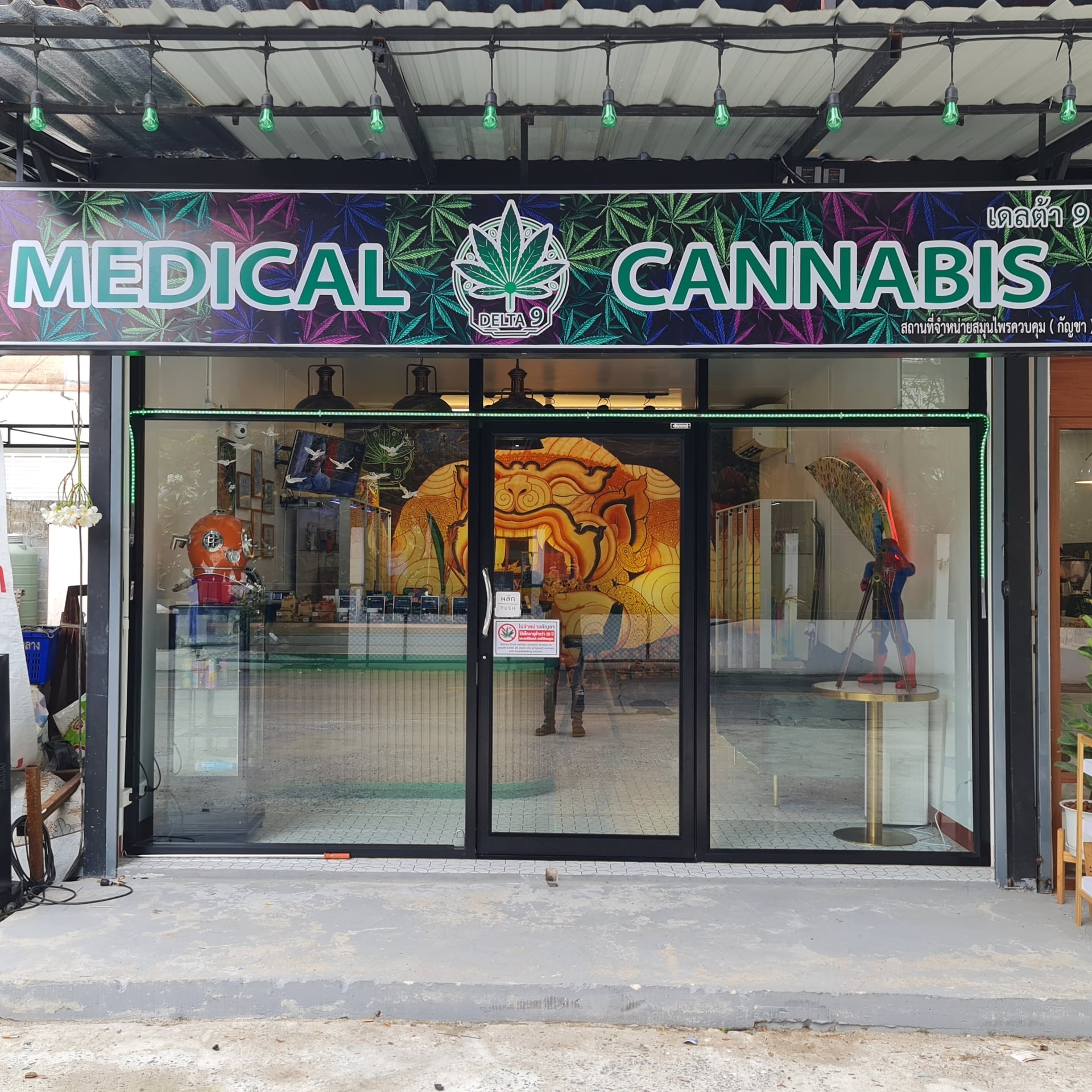 Delta9Cannabis