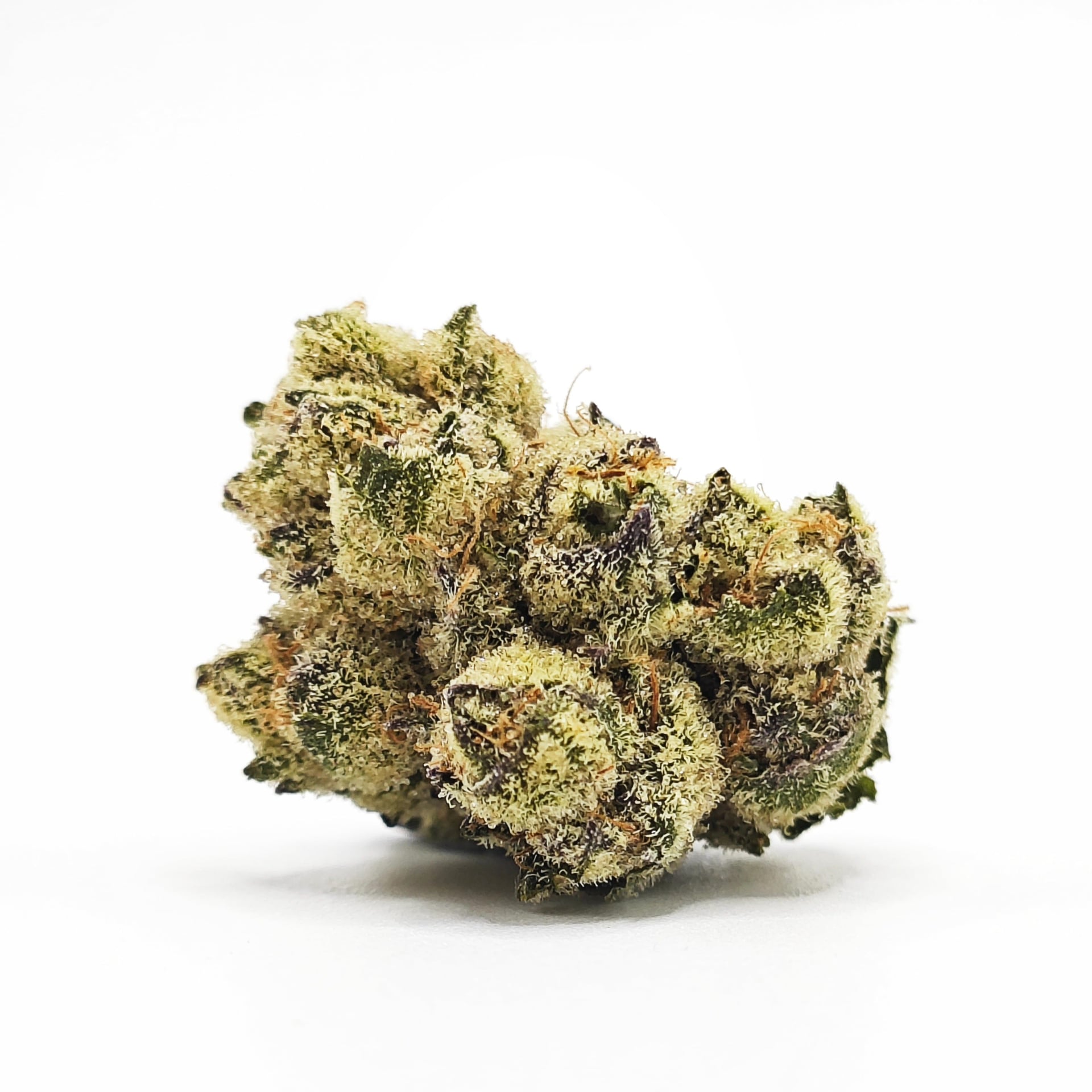 CannaStock