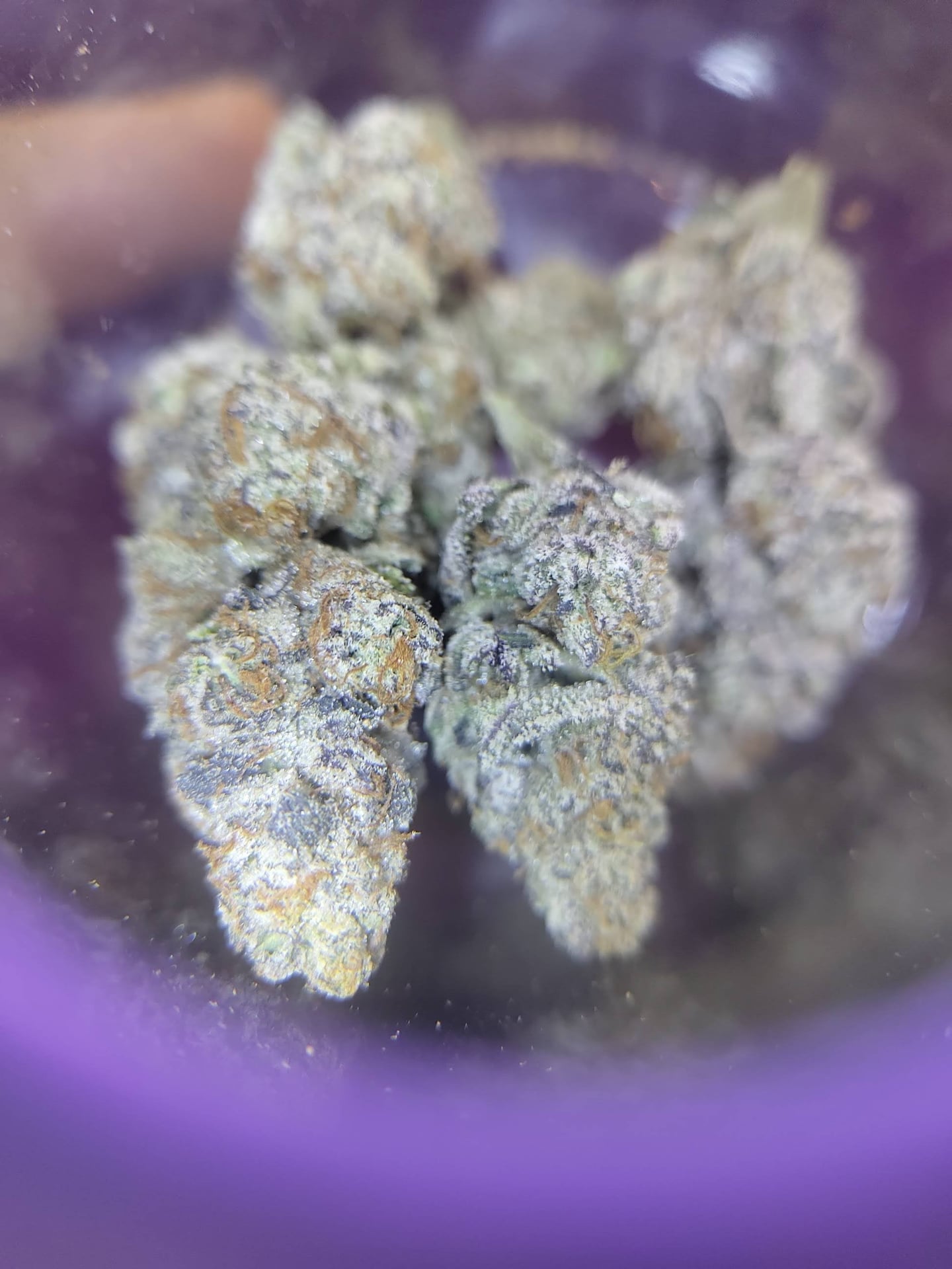 Juicy Buds Samui