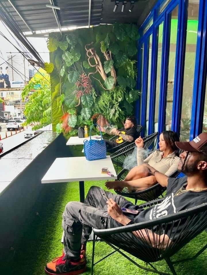 Bong Party X Bangkok Exotics