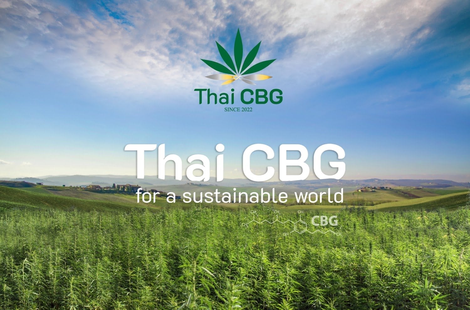 Thai CBG