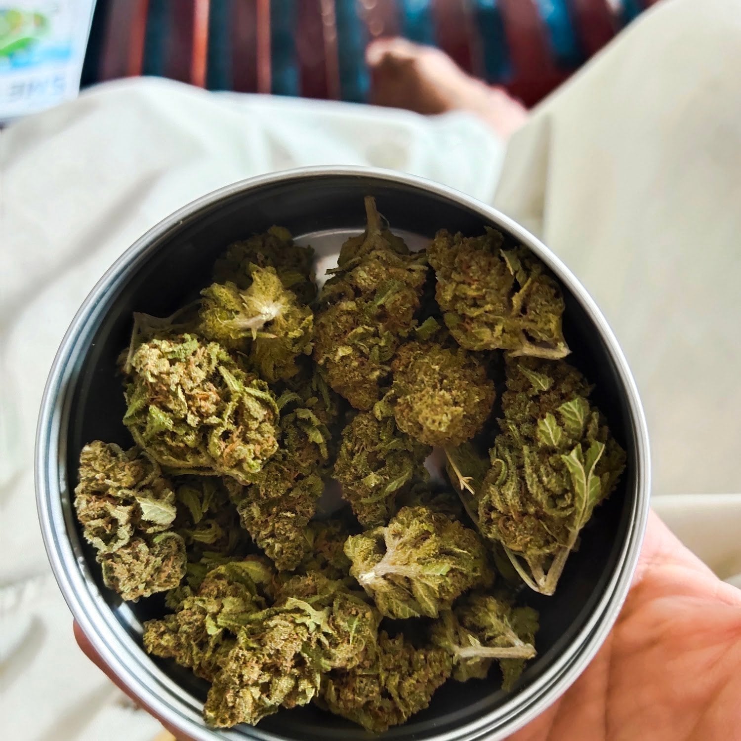 Sai Cannabis By Golden Crow