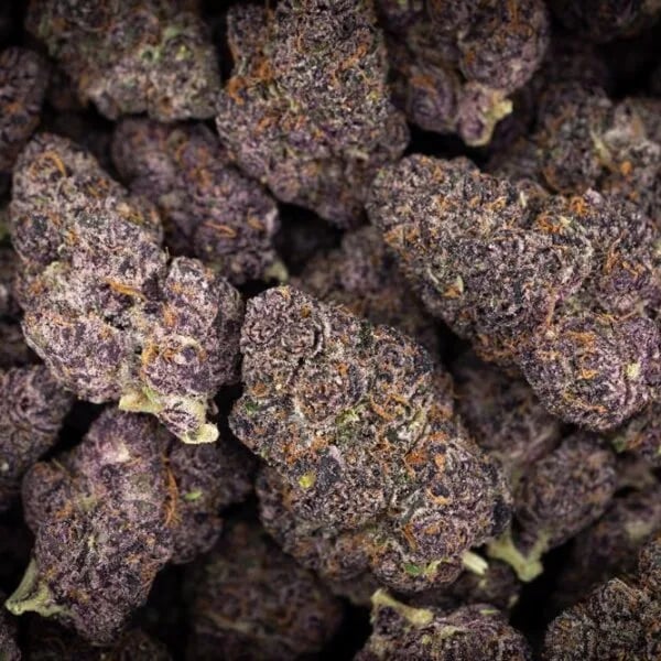 Cannabear