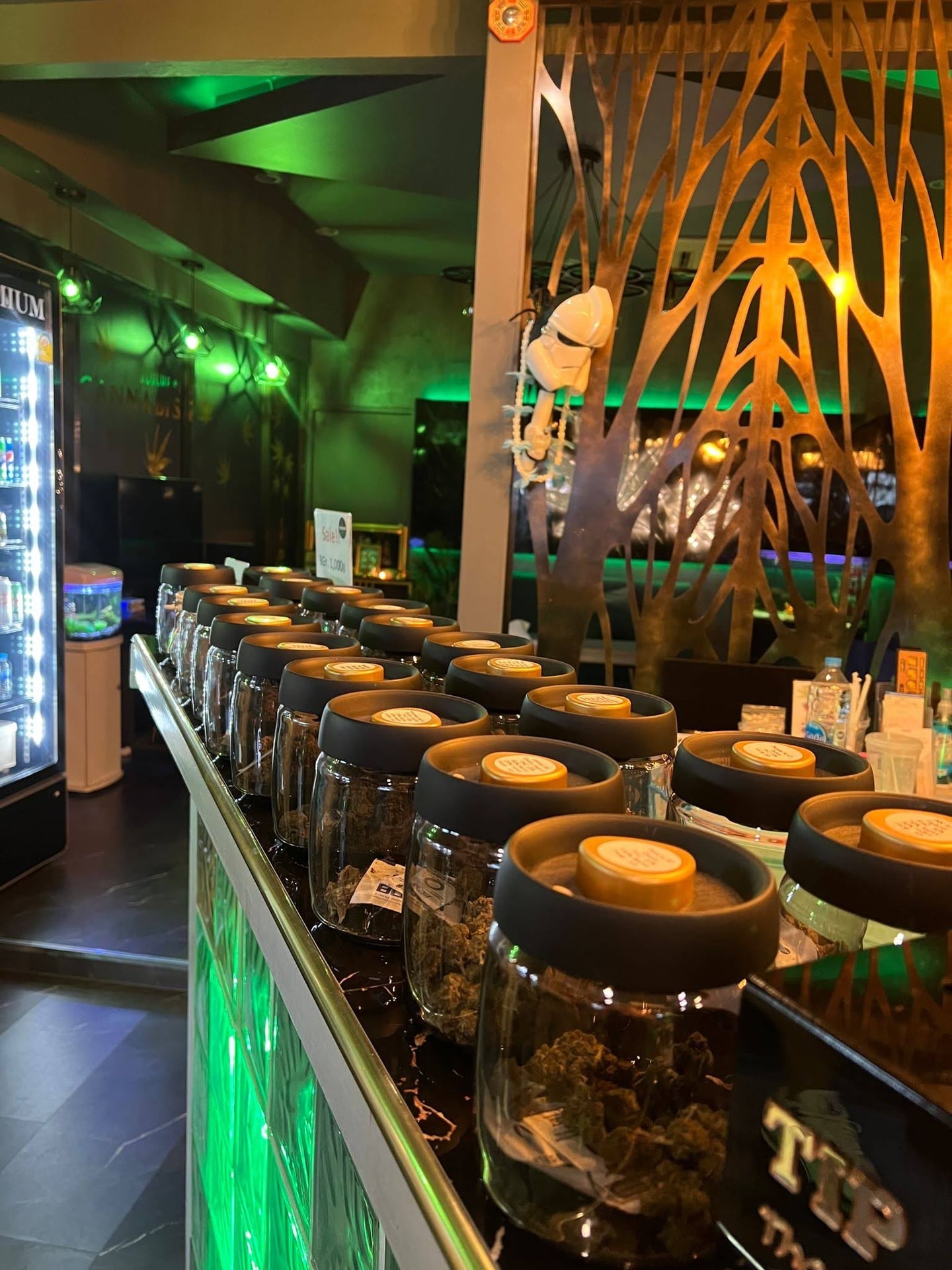 Future #1 Cannabis Phuket