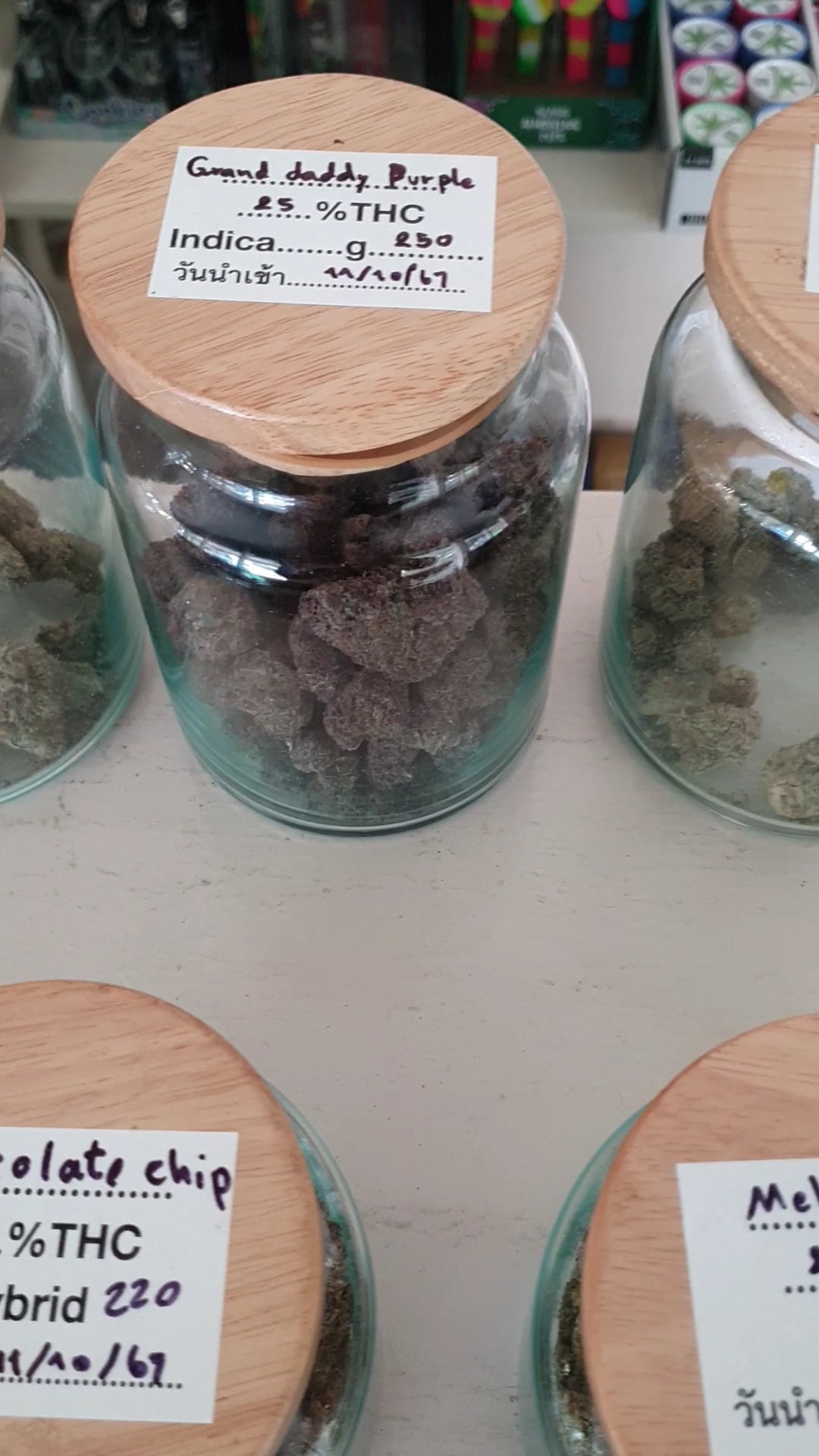 Cannabis Corner Khonkaen & Moterbike For Rent