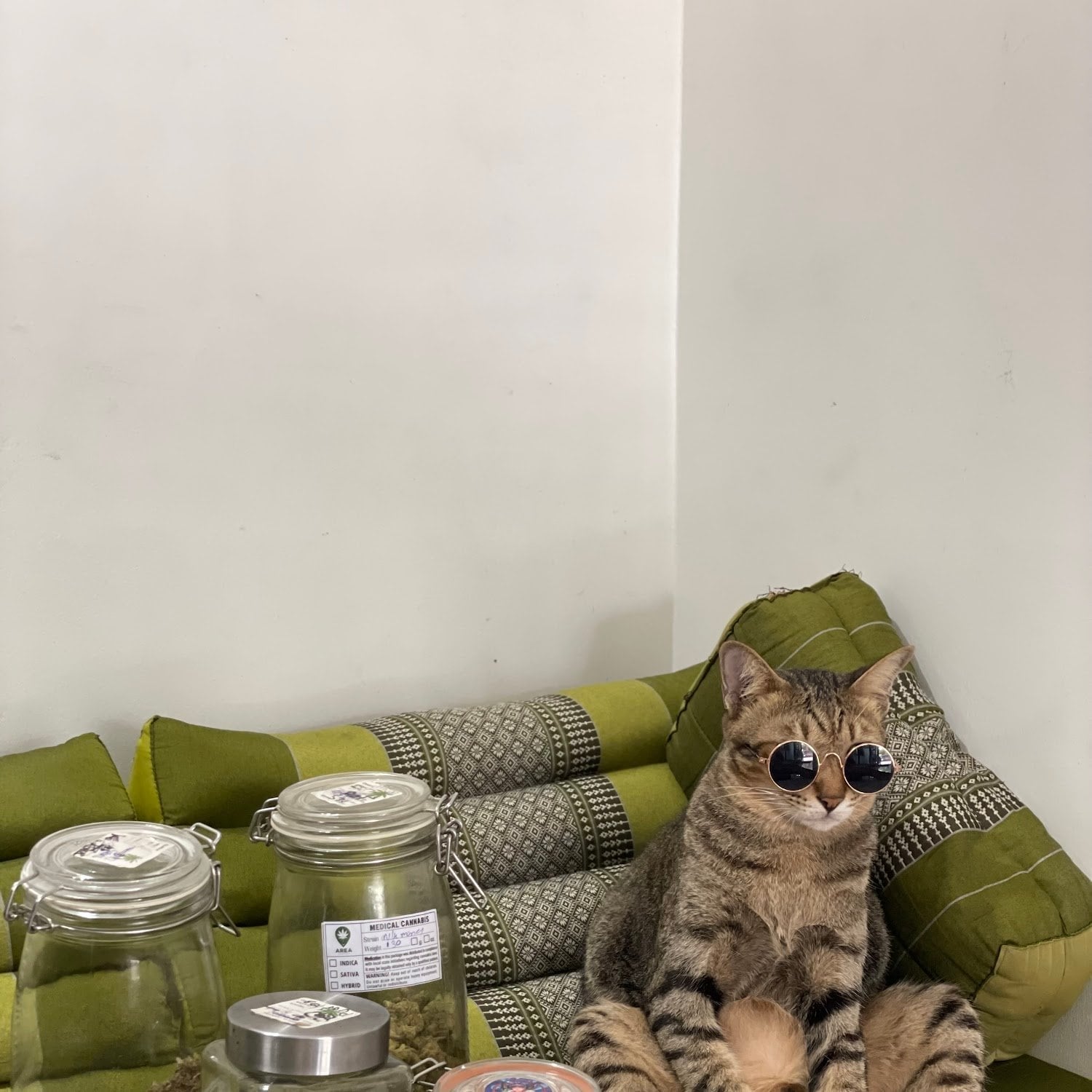 Area Cannabis