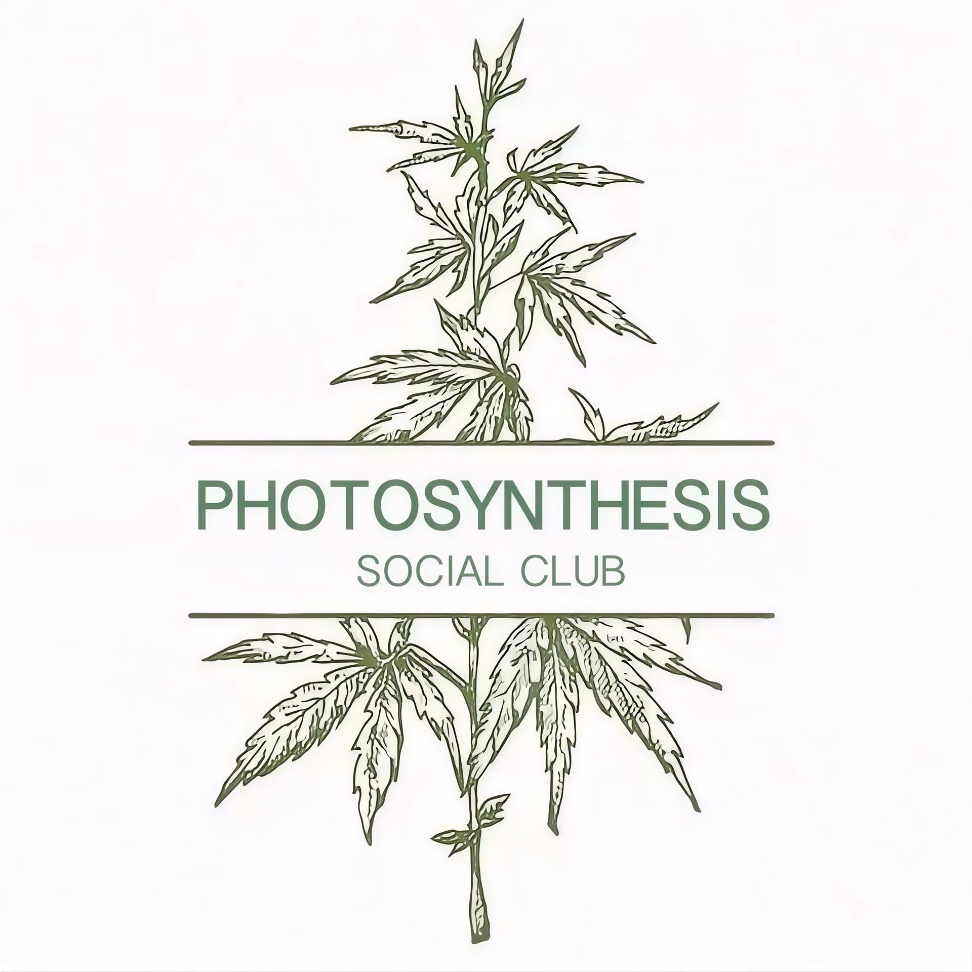 نادي القنب الاجتماعي Photosynthesis Social Club في Costa Adeje شعار