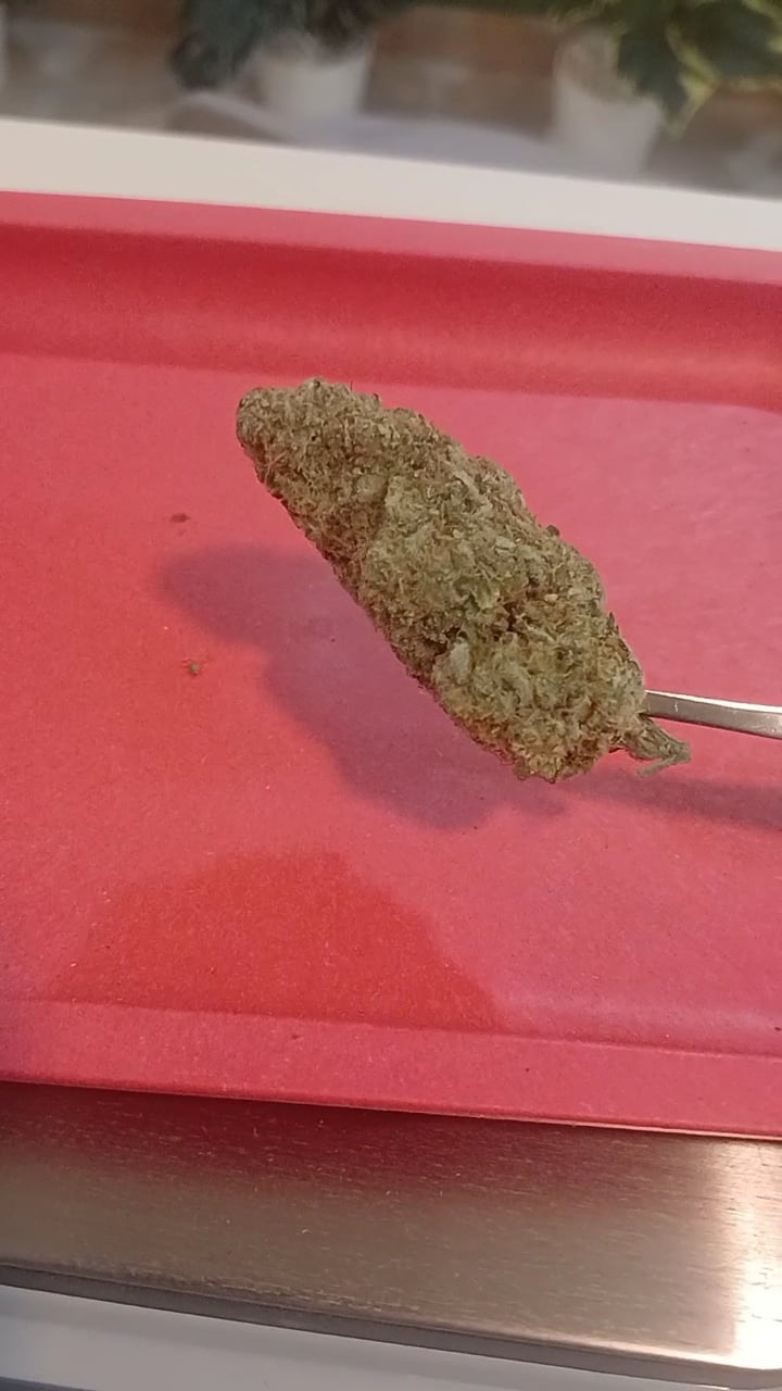 Supergreen