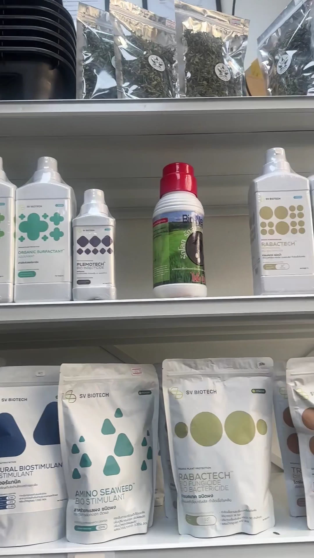 CannDeeBiz
