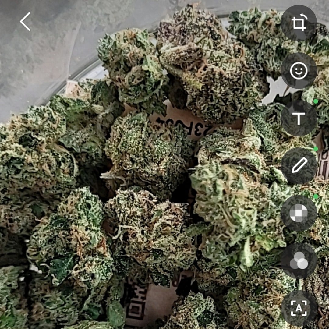 Sen4.20