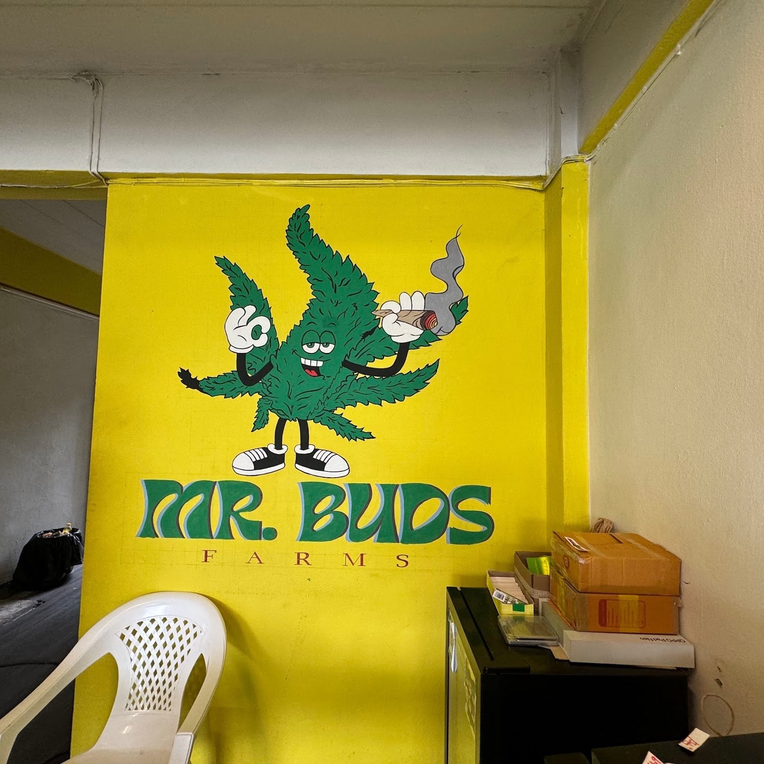 Mr Buds Farms