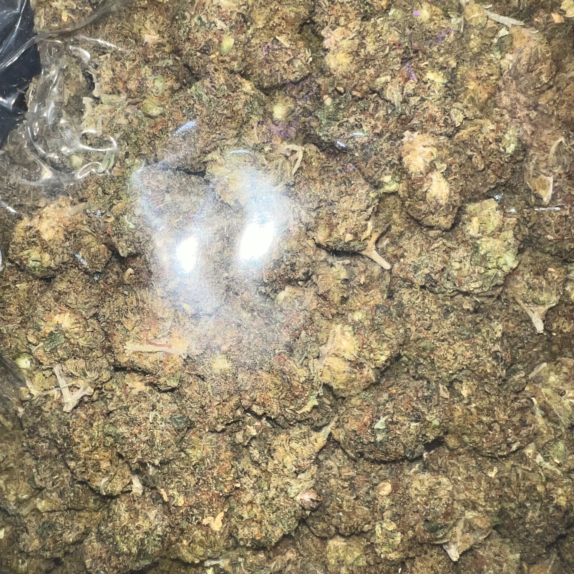 Succeed Cannabis